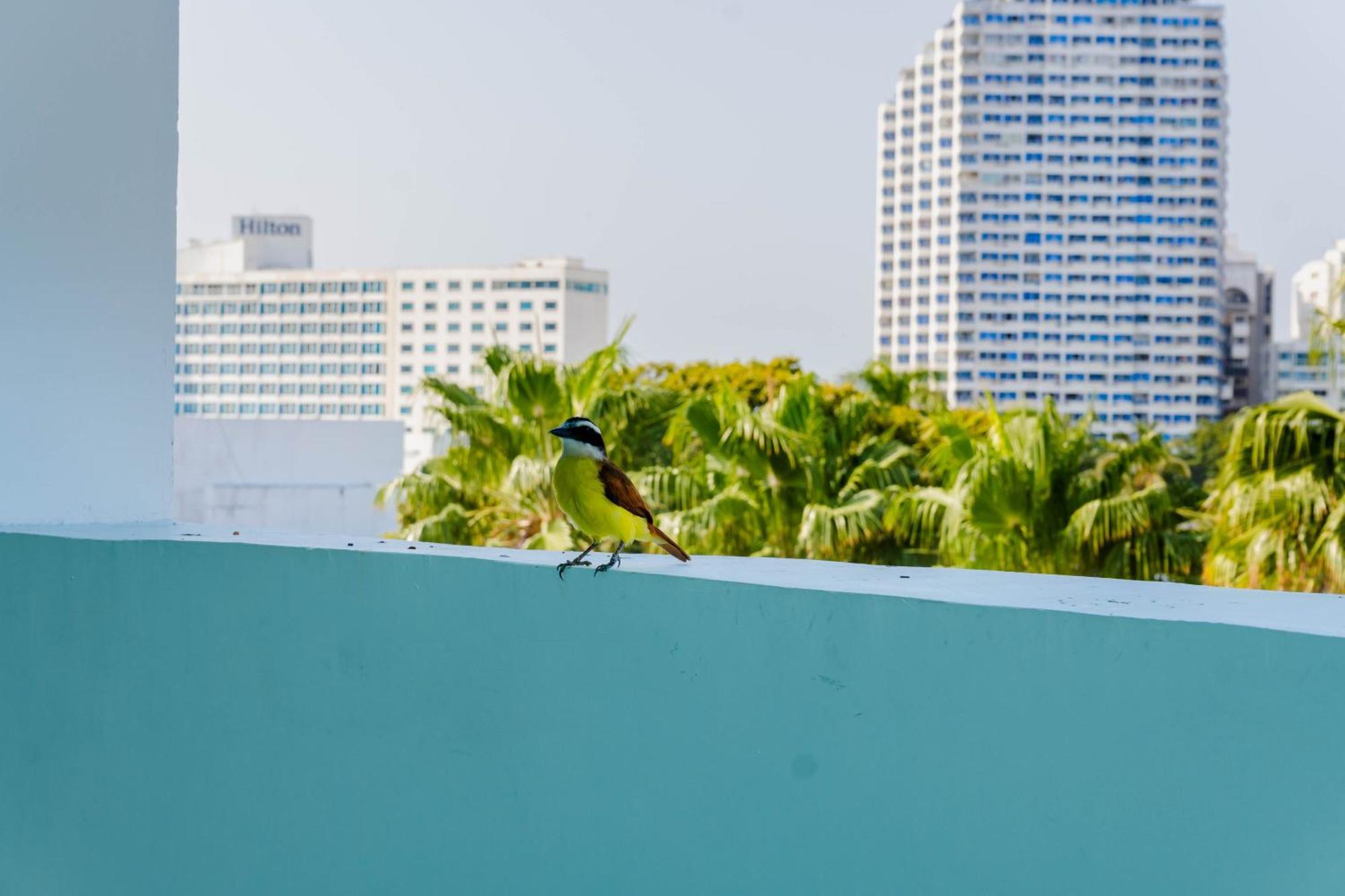 Hotel Coral Reef Cartagena Eksteriør billede